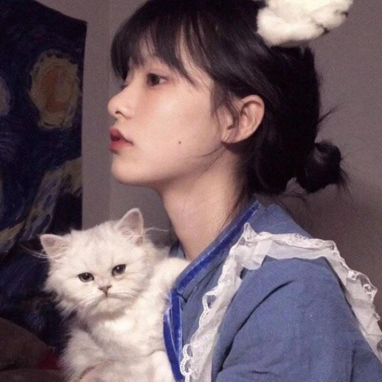 东京（明治维新后故事主要发生地） - gv网钙片在线观看16 - 云端观看
